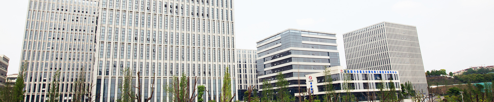  正于行(xíng)，基于心